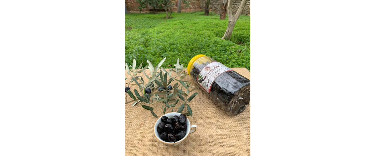 Gemlik Siyah Zeytin 1 Kg  2024-ÜRÜNÜ